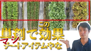 効果出すぎでしょ...脂肪酸【農業 収益UP】