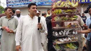 Birds Market Lalukhet Sunday Video Latest Update 6-8-23 in Urdu/Hindi