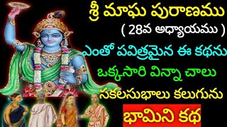 శ్రీ మాఘ పురాణము - 28వ రోజు,ఎంతో పవిత్రమైన ఈకథను వింటే చాలు సకలసుభాలు కలుగును.భామిని కథ