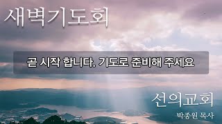 선의교회