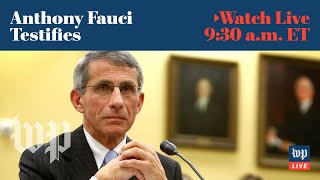 Anthony Fauci testifies at Senate coronavirus hearing   - 5/12 (FULL LIVE STREAM)