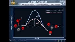 Termodinamica chimica