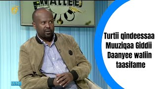 Turtii qindeessaa Muuziqaa Giddii Daanyee waliin taasifame