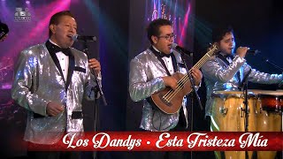 Los Dandys de Armando Navarro - Esta Tristeza Mía, ¡En Vivo!