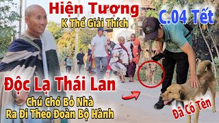 C.04 Tết Độc Lạ Thái Lan😮 Chú Chó Bỏ Nhà Ra Đi Theo Đoàn Bộ Hành.Không Thể Giải Thích.Đã Có Tên