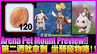 F2P 6v6 Arena Mode Pet Mount Preview![Ragnarok M Eternal Love]