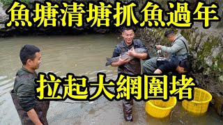 鱼塘清塘抓鱼过年，大货乱窜水面瞬间沸腾，这鱼抓得真过瘾【农村阿琪】