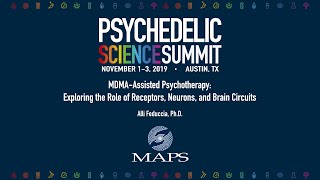 MDMA-Assisted Psychotherapy: Exploring the Role of Receptors, Neurons, and Brain Circuits