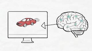 The Neuroscience of Whiteboard Animations