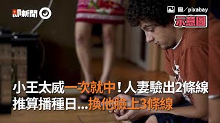 小王太威一次就中！人妻驗出2條線　推算播種日...換他臉上3條線