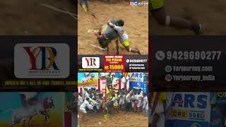 திருச்சி கொம்பன் ஜெகன் காளை இறங்கிய அடுத்த நொடி Twist..🔥| Alanganallur Jallikattu 2025