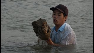 这种野生蚝退潮后从不露出水面，小池跳入海里捞起一大桶，高兴坏了