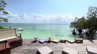 Mangrove Sunset Beach Bar, Michamvi Kae, Zanzibar Tanzania