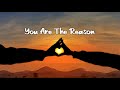 Calum Scott - You Are The Reason (lyric) terjemah