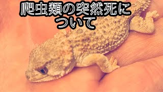 爬虫類の突然死の報告と乾燥時期の注意喚起。