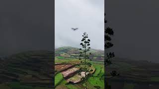 Kodaikanal Farming landscape