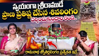 స్వయంగా శ్రీరాముడు ప్రతిష్టించిన శివలింగం | Rameshwaram Temple Tour | Jyotirlinga Darshanam