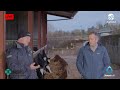 MSD March Animal Health Series - Episode 1