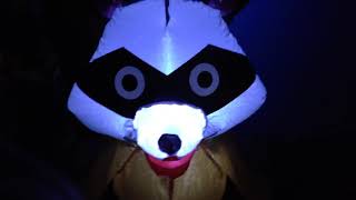 New for 2019 Gemmy 3.5ft raccoon inflatable at night