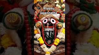 Jay jagannatha.... ତୋ ମୁଁହ ଦେଖି....