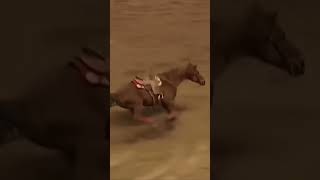Dona Kay Rule has an accident in the alleyway #barrelracing #nationalfinalsrodeo #barrelhorse