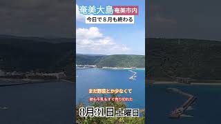 奄美　日常　買い出しと台風のあと実家片付けへ🤗2024年8月31日