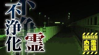 【金野井大橋】助けて...と女性霊の声収録！不浄化の女性の霊が佇む心霊橋《問題個所有》【場所や噂などの詳細は概要欄から】 HAUNTED PLACES IN JAPAN