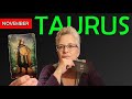 Persistence Pay Off, Some Kind of Deal Taurus November 15, 2024 Full Moon Reading