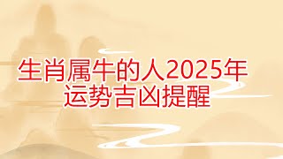 生肖属牛的人2025年生肖运势吉凶提醒  #2025年 #董易奇 #运势 #生肖運勢 #生肖運程 #生肖牛 #吉凶