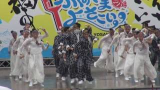 2016　舞龍人＆ななまる隊　ふくのやまよさこい　中央公園