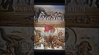 Paraceratherium VS Elephantidae #edit #prehistoricanimals #battle