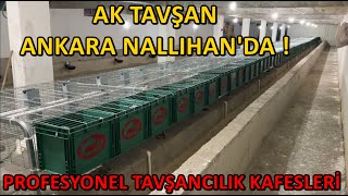 ETLİK TAVŞAN ÇİFTLİĞİ KURULUMU | PROFESYONEL ETLİK TAVŞAN KAFESLERİ | AK TAVŞAN ANKARA NALLIHAN'DA !