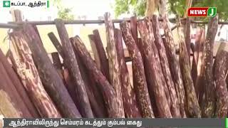 ஆந்திராவில் இருந்து செம்மரம் கடத்தும் கும்பல் கைது