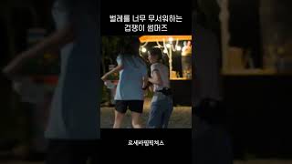 벌레를 너무 무서워하는 겁 많은 채원과 카즈하 ㅋㅋ