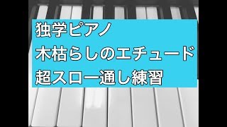 （旧演奏）素人が独学でショパン エチュードop25-11「木枯らし」超スローで通してみた