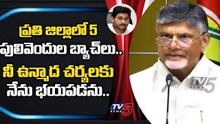 ప్రతి జిల్లాలో 5 పులివెందుల బ్యాచ్ లు: Chandrababu Naidu Comments On YCP Rowdyism In AP | TV5 News