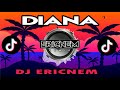 Diana Remix | DiscoBudots | Dj Ericnem