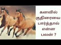 குதிரை உங்கள் கனவுவில் வந்தால் என்ன பலன் horse in dream horse dream meaning in tamil