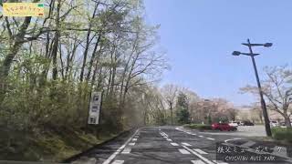 ちちぶ桜ドライブ（秩父公園橋〜ミューズパーク〜わらび平）