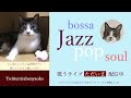 ゆるジャズ ねこ喫茶 初見様リクエスト一曲どうぞ♪ プロシンガー jazz soul bossa vocal radio bgm chill cat