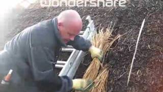 Thatched Roof Repair