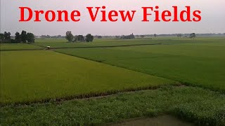 Fields view from drone camera || ਖੇਤਾਂ ਚ ਡਰੋਨ ਨਾਲ ਵੀਡੀਓ drone video punjab