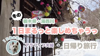 【栃木・日帰り旅】平家の里〜かまくら祭り会場〜龍王峡〜