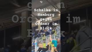 St. Pauli vs. Schalke 04 #fight im Block #ultras #hooligan #s04 #stpauli #hamburg #football