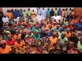 82 Chibok schoolgirls freed by Boko Haram