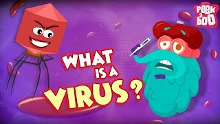 What Is A Virus ? | Best Learning s For Kids | Dr Binocs | Peekaboo Kidz