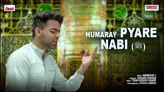 Hum Ne Aankhon Se Dekha Nhi Ha Magar | Humaray Pyare Nabi ﷺ | Mehmood J | B2 Islamic | New Naat 2022