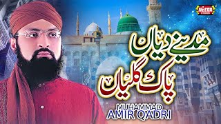 Muhammad Amir Qadri - Madine Diyan Pak Galiyan - Super Hit Kalams - Full Audio Album - Heera Stereo
