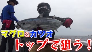 釣れるまで投げ続ける！キハダキャスティング！【三重県 志摩沖 第二テンヤ丸】