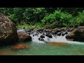 03 10 nature meditation tranquil forest river ultimate stress relief meditation with water sounds